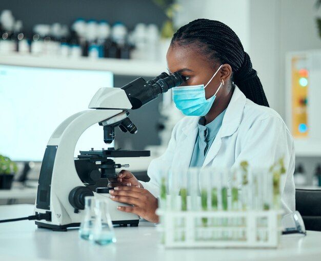 SCHOOL OF MEDICAL AND BIOMEDICAL SCIENCES