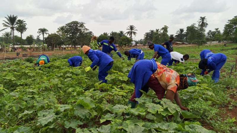 Dry season Gardening