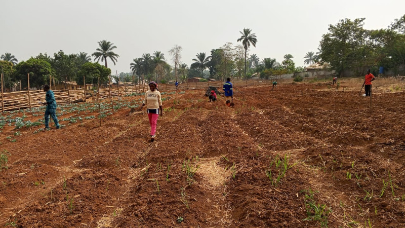 Dry season Gardening